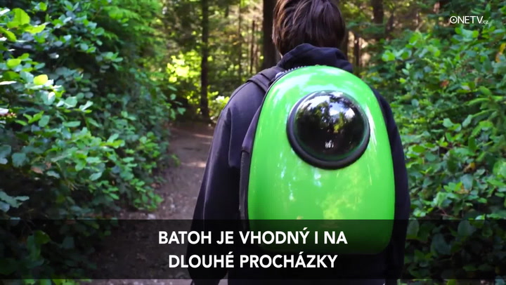 To nemyslí vážně: Takhle se teď budou přepravovat kočky, co na to ochránci zvířat?