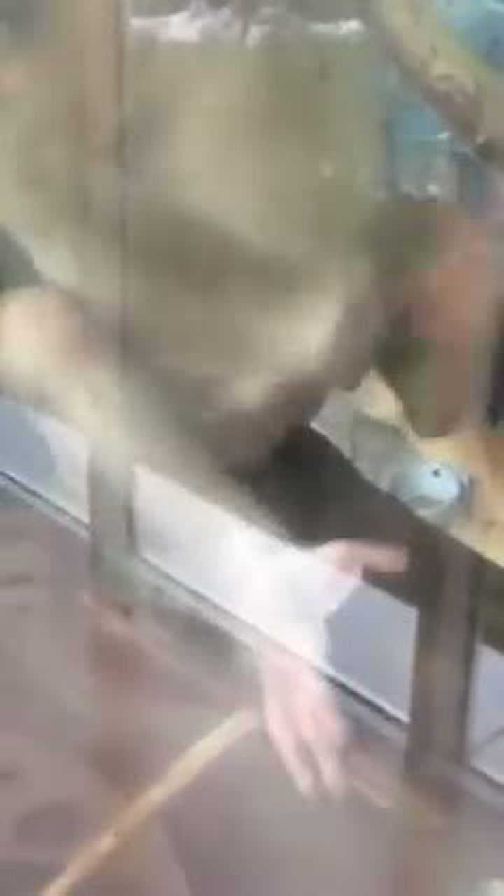 Většina chlapů by za schopnosti téhle opice dala všechno na světě!