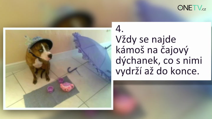 Pes v punčocháčích a kočka s make-upem: Jak to dopadá, když děti mají tvůrčí chvilku!