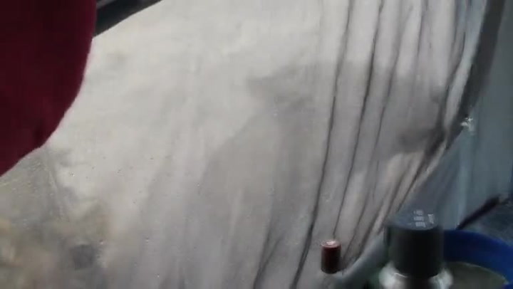 Hororové video. Když se turisté vzbudili ve stanu, olizoval jeho okno obrovský lev!