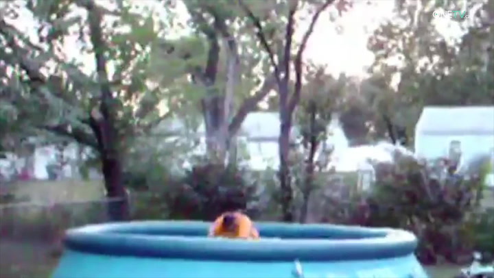 Počůráte se smíchy: Tohle jsou ty nejlepší letní držkopády