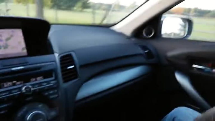 Reakci tohoto pejska na cestu do zábavního parku prostě musíte vidět!