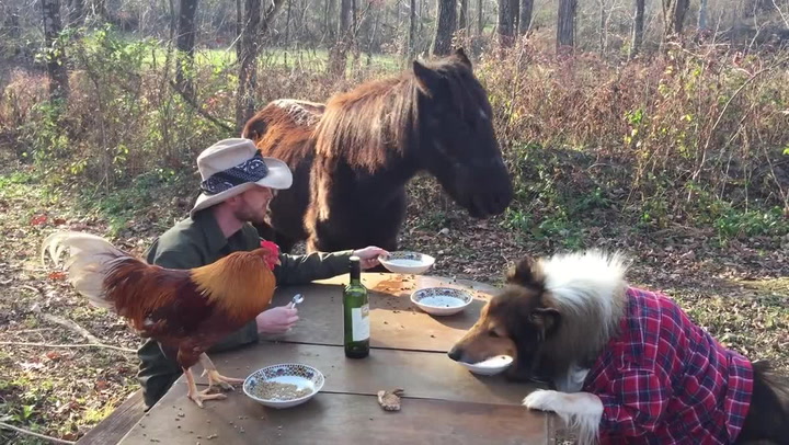 Jídla je dost pro všechny. Tenhle chlapík stoluje se všemi svými zvířaty najednou!