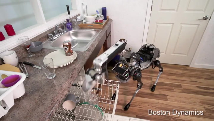 Nebaví vás domácí práce? Pak budete tohoto robota zbožňovat! Má to jen jediný háček…