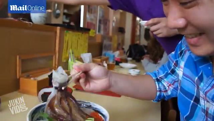 NECHUTNÉ VIDEO: Chobotnice ožila přímo na talíři v restauraci!