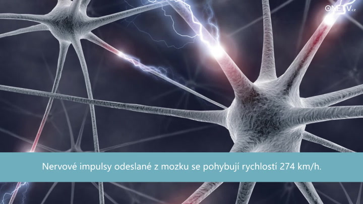 COŽE?! 10 věcí, které jste OPRAVDU nevěděli o lidském těle