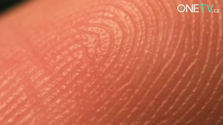 Nejste tak tlustí, jak si myslíte! Dokážeme vám to!