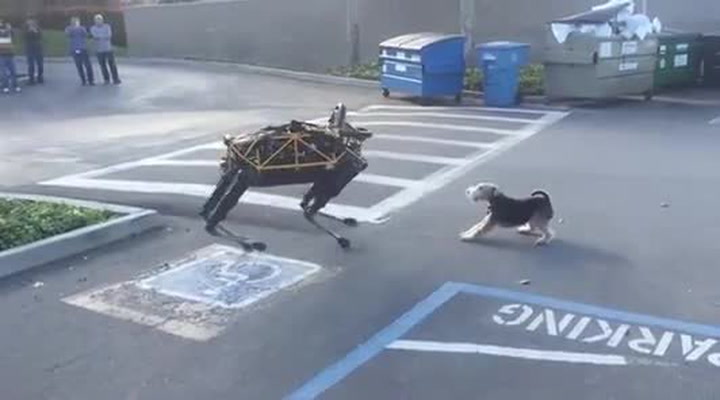 Historicky první setkání robotického psa s živým prostě musíte vidět!
