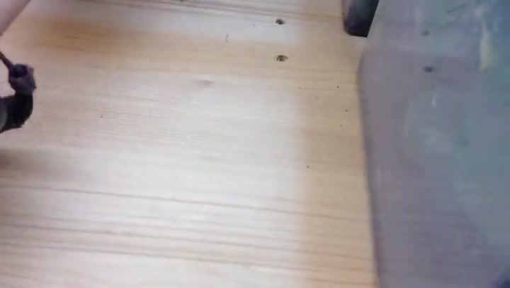 Nic pro arachnofobiky! Tohle není sci-fi horor, tihle pavouci s kleštěmi opravdu žijí