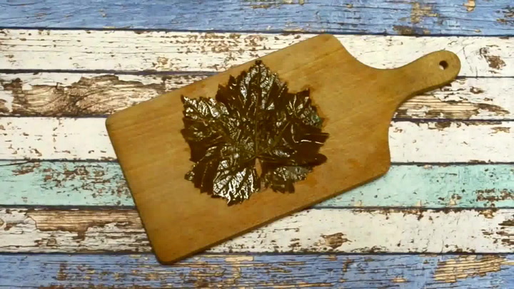 Tenhle recept si zamilujete: Plněné vinné listy jsou vynikající samotné i jako příloha!