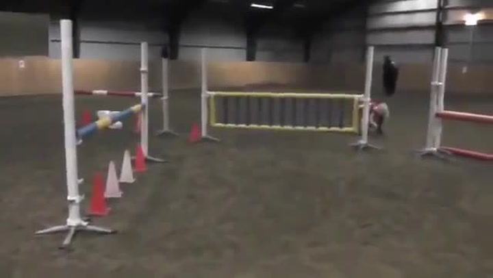 Neuvěříte, jakou úchylku má tahle holčička! Ve volném čase se mění v koně