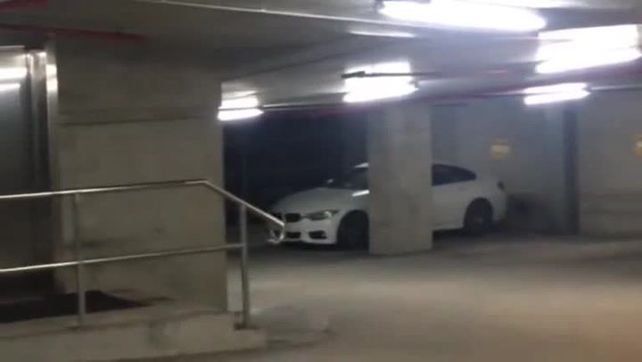 Převlékli se za teroristy a dynamit přidělali na nebohé zvíře. Humor, nebo zábava přes čáru?