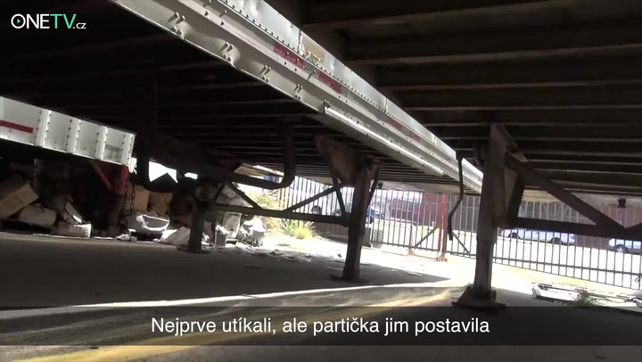 Dojemný příběh: Tihle pejsci živořili na smetišti, záchrana přišla v poslední chvíli!