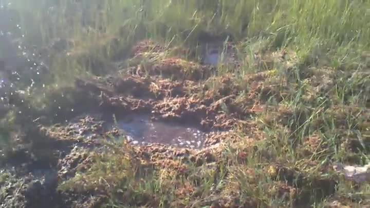 Skočili byste taky? Šílení Rusové mizí v hodně nebezpečné bažině!