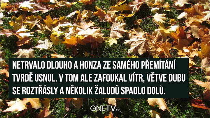 Máte vedle sebe věčného rýpala? Pusťte mu tohle video!