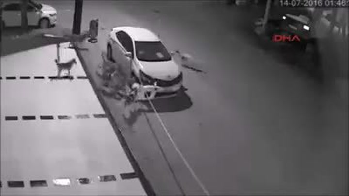 V pojišťovně si mysleli že je blázen! Muži zdemolovala auto smečka toulavých psů