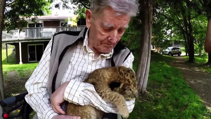 Starý pán pomáhal opuštěným zvířatům celý život, nikdy nebyl v ZOO. Přátelé mu přichystali překvapení, které vás dojme k slzám