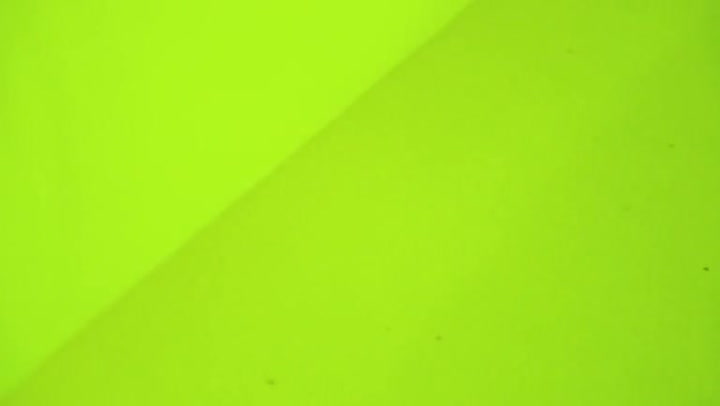 Jak to vypadá v továrně na tenisové míčky? To budete koukat!