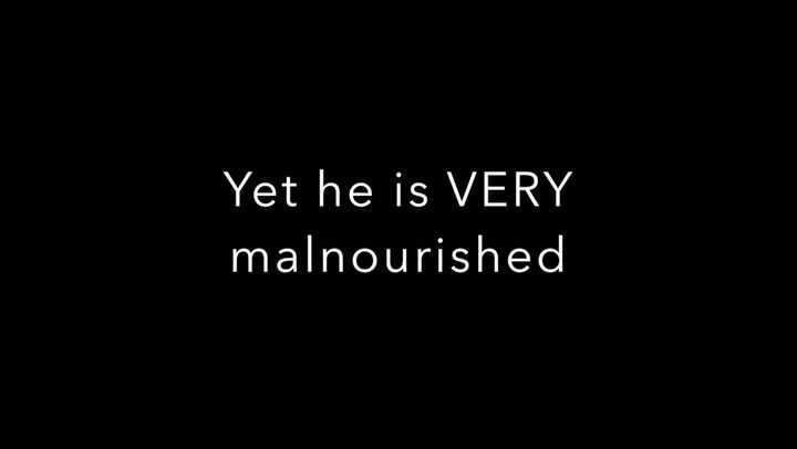 Jak kruté dokážou být děti… Bezbranné štěňátko hodili do nádoby s lepidlem!