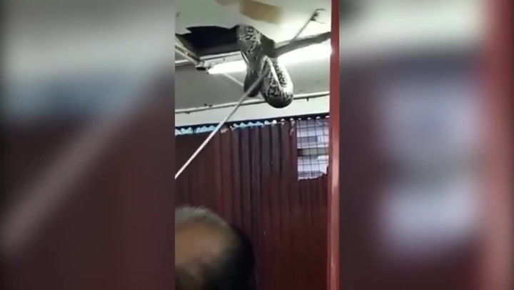 Fuj! Když se zákazníci restaurace podívali na strop, hodně rychle je přešla chuť!