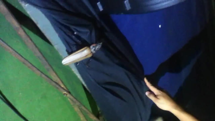 Nic pro slabé povahy. Až uvidíte, jak obrovský je tenhle brouk, zamrazí vás!