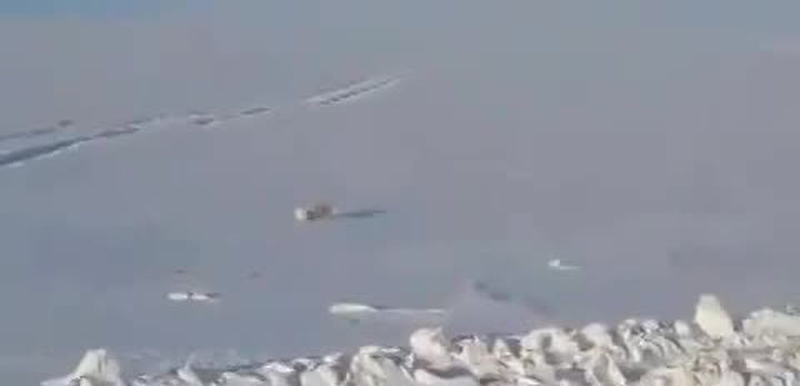 Lovec vysvobozoval mrtvou lišku z pasti. Pak se stalo něco, co ani ve snu nečekal!