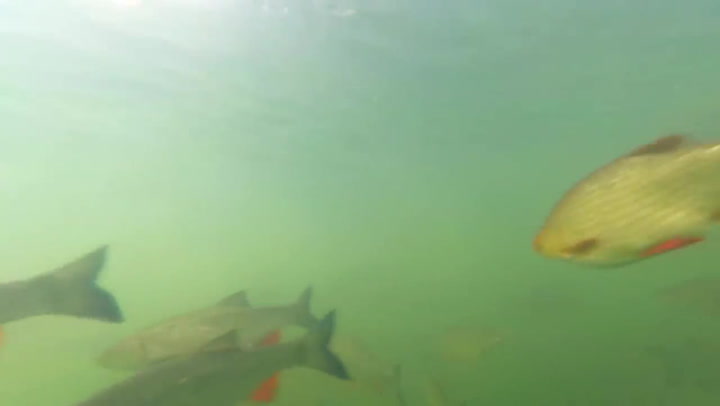 Chlapík ponořil kameru do nádrže u Černobylu. To, co natočil uvnitř, jej naprosto šokovalo!